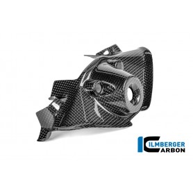 Ignition Lock Cover Carbon Glossy Panigale V4 2025