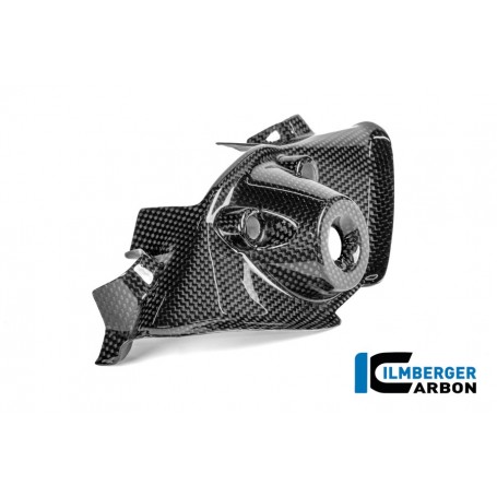 Ignition Lock Cover Carbon Glossy Panigale V4 2025