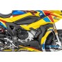 Frame Cover Right BMW S1000 XR from 2020