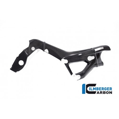 Frame Cover Right Side BMW S 1000 R from 2021 / M 1000 R from 2023