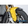 Front MudGuard for Painted Plasticfender S 1000 XR from 2020