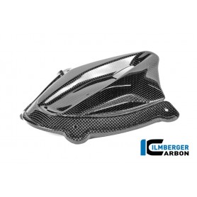 Instrument Cover Carbon Glossy Panigale V4 2025