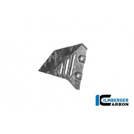 Front Triangle Cover for Rear Frame Right BDC Matte R 1300 GS Adventure