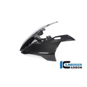 Front Fairing BMW S 1000 RR / M 1000 RR
