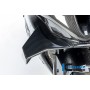 Winglet Right Side BMW M 1000 RR from 2023