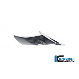Winglet on the Right Side Fairing BMW S 1000 RR from 2023