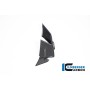 Winglet on the Left Side Fairing BMW S 1000 RR from 2023