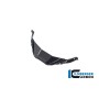 Fairing Middle Part Street BMW S 1000 RR 2023