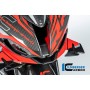 Fairing Middle Part Street BMW S 1000 RR 2023