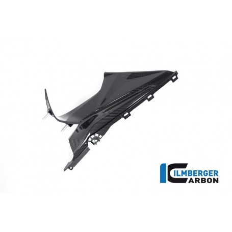 Badge Holder Left BMW S 1000 RR from 2019