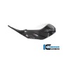 Tank Side Panel Right Full Version Glossy BMW S 1000 RR from 2019