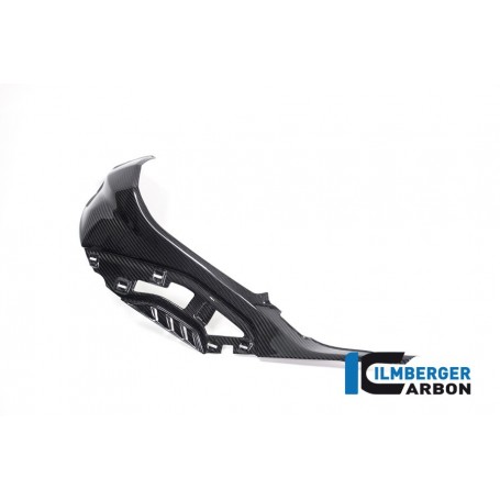 Tank Side Panel Left with Attachments for Colored OEM Panel Glossy BMW S 1000 RR from 2019