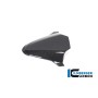 Instrument Cover BMW S 1000 RR 2019-2020
