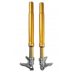 Öhlins FGRT Upside Down Gabel Road & Track FGRT 308