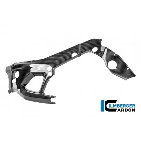 Frame Protector Left Carbon Gloss M 1000 RR Street (from 2025)