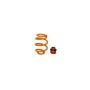 Öhlins Tesla Model 3 & Model Y Comfort Set w Springs