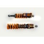 Öhlins Lotus Exige S Sport Cup (Gen. 3) 2015-2021 Advanced Trackday TTX 4w Set w Springs