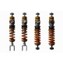 Öhlins Alpine A110 (AEF) Advanced Trackday TTX 4w Set w Springs