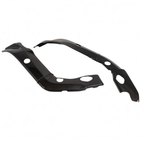 LighTech Carbon Frame Protections (Pair)