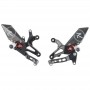 LighTech R Version Adjustable Rear Sets. Standard Shifting