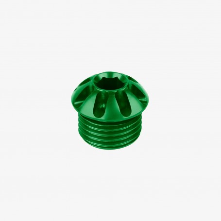 Bonamici Coloured Cap for Foot Peg - GREEN