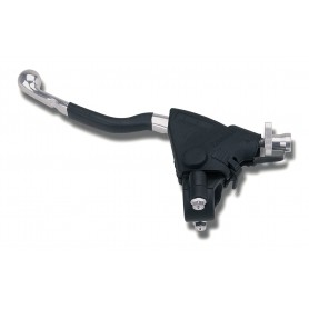 Domino Racing with Anticorodal Levers - F.24 Lever Assembly