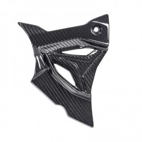 Sprocket cover carbon. S 1000 RR 2019-