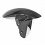 Front fender carbon. S 1000 RR 2019-