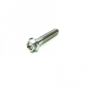 Titanum hexagonal bolt with collar M6x35