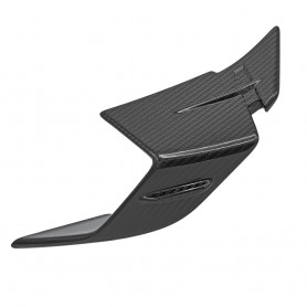 Alpha Racing Winglet Right Side Carbon. S1000RR 2023-