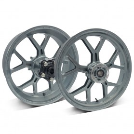 PVM wheel set 5Y Design. M 1000 RR