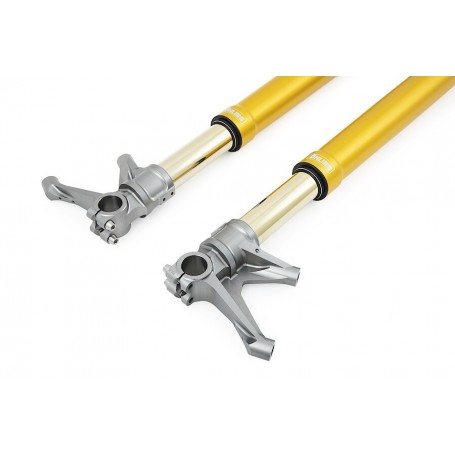 Öhlins FGR 250 USD Front Fork Racing