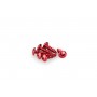 Puig Kit Screws Domed M6x20 mm Red