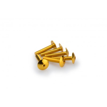 Puig Kit Screws Domed M6x30 Gold