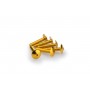 Puig Kit Screws Domed M6x30 Gold