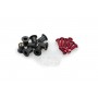 Puig Screw Kit Red