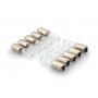 Puig Light Bulb Box. Turn Light 12V/21W (10 Units)