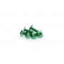 Puig Kit Screws Domed M6x20 mm Green