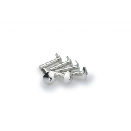 Puig Kit Screws Domed M6x25 mm Silver