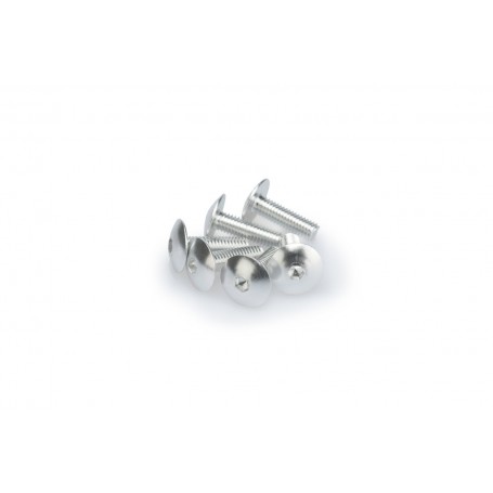 Puig Kit Screws Domed M6x20 mm Silver
