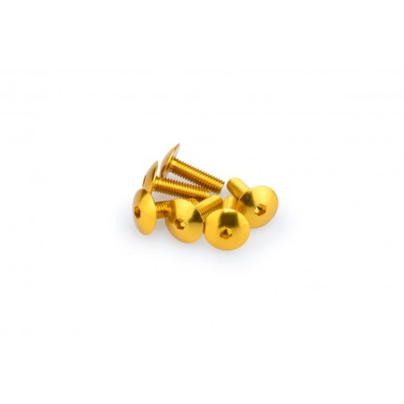 Puig Kit Screws Domed M6x20 mm Gold
