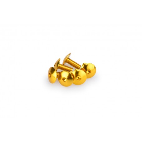 Puig Kit Screws Domed M6x15 mm Gold