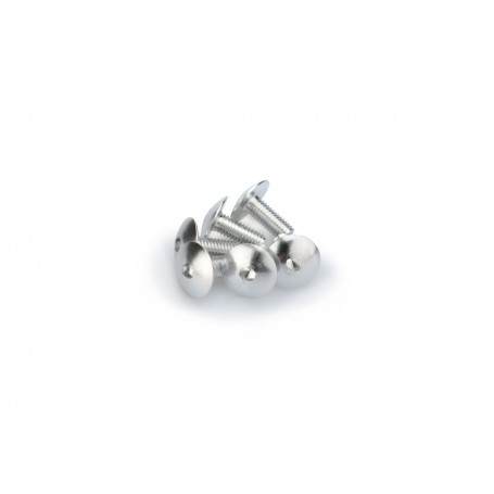 Puig Kit Screws Domed M6x15 mm Silver