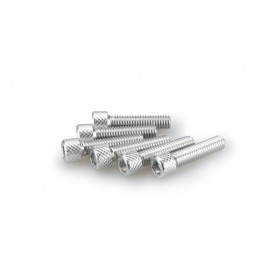 Puig Kit Screws Allen M6x25 mm Silver