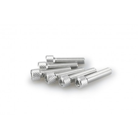 Puig Kit Screws Allen M6x25 mm Silver