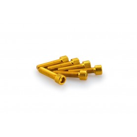 Puig Kit Screws Allen M6x25 mm Gold