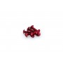 Puig Kit Screws Domed M5x15 mm Red