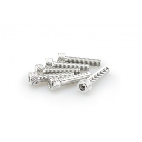 Puig Kit Screws Allen M8x35 mm Silver