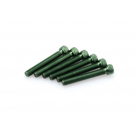 Puig Kit Screws Allen M8x55 mm Green