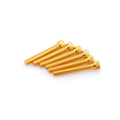 Puig Kit Screws Allen M8x55 mm Gold